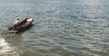 Small fast wooden boat on a river Royalty Free Stock Photo