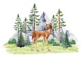 Small fawn in nature wildlife forest landscape scene. Watercolor illustration. Baby deer standing in northern forest