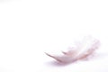 The small feather on a white background Royalty Free Stock Photo