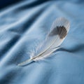A small feather with a white Royalty Free Stock Photo