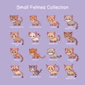 Small feline illustrations with name text Royalty Free Stock Photo