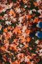 Small female feet with black running shoes stepping on a the grass covered by dry orange leaves characteristic from the autumn Royalty Free Stock Photo