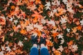 Small female feet with black running shoes stepping on a the grass covered by dry orange leaves characteristic from the autumn Royalty Free Stock Photo