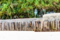 Small fence made of wooden docks and palms in the background Royalty Free Stock Photo