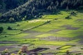 Small fenced farm plots of land