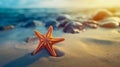 Small figure of starfish in the sand on the background of beach and sea