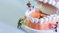 Small figure worker cleaning tooth model as medical and healthcare concept, Regular checkups are essential to oral health Royalty Free Stock Photo