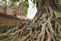 Small figures of Buddha over the roots of an ancient tree in Sukhothai Historical Park, UNESCO World Royalty Free Stock Photo