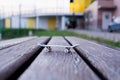 Small finger skateboard