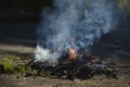 A small fire on the asphalt. Lighting of bonfires Royalty Free Stock Photo