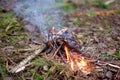 A small fire in the forest