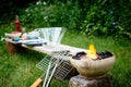 Small fire pit with the background of ingredients on a wooden board on wood stumps on the grass Royalty Free Stock Photo