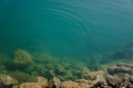 Small fish in blue water with large stones at the bottom. Royalty Free Stock Photo