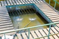 A small fish farm in a public park. Royalty Free Stock Photo