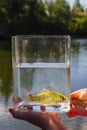 Small fish in a glass jar on the background of lake Royalty Free Stock Photo