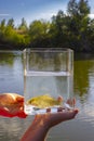 Small fish in a glass jar on the background of lake