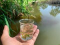 Small fish in a glass, science and nature Background