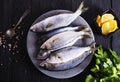 small fish on plate with spice and herb Royalty Free Stock Photo