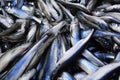 Small fish sprat close-up. Benefits of eating fish Royalty Free Stock Photo