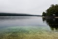 Small fish swimming in the beautiful Lake Bohinj in the Triglav National Park in Slovenia on misty morning in autumn Royalty Free Stock Photo