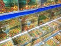 Small fish tank in market Royalty Free Stock Photo