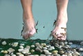 Gara rufa pedicure, exotic small fishes do a peeling of feet