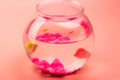 Small fishes swim in aquarium ball