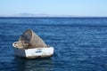 Small fishing boat Royalty Free Stock Photo