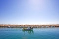 Small fishing boat leaving the port of Duquesa in Spain