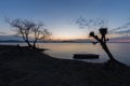 A small fishing boat near trees on a lake shore at dusk