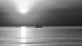 Small fishing boat is returning to shore at dawn. Black and White. Dark tone
