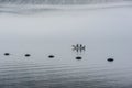 Small fishing boat in the Village at Boka Kotor Bay in the morning fog, Montenegro Royalty Free Stock Photo