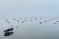 Small fishing boat in the Village at Boka Kotor Bay in the morning fog, Montenegro Royalty Free Stock Photo