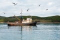 Small fishing seiner goes to fish in the sea