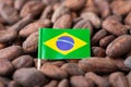 Small flag of Brazil in cocoa beans