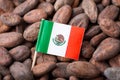 Small flag of Mexico in cacao beans