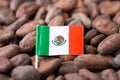 Small flag of Mexico in cocoa beans