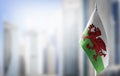A small flag of Wales on the background of a blurred background Royalty Free Stock Photo