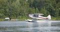 Small floatplane lands on a Minnesota lake Royalty Free Stock Photo