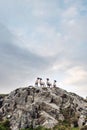 Small flock of cute sheep after shearing on top of a hill, cloudy sky background. West coast of Ireland. Farming industry. Group