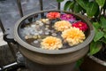 A small floral wishing well with coins on Penang Hill Royalty Free Stock Photo