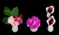 Small flower arrangements Royalty Free Stock Photo