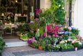 Small flower shop