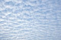 Small fluffy cirrocumulus clouds