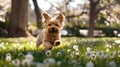 Joyful dog frolics in a sunlit park with spring flowers. Pets, happiness, and outdoor fun captured in natural light