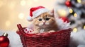 A small fluffy kitten in a Santa hat sits in a basket, New Year\'s mood.Generative AI Royalty Free Stock Photo