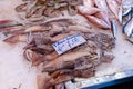 SMALL FLYING SQUID FROM SICILY sold at market (translation: totani