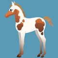 A small foal with spots is standing. Horses icons flat style. Vector isolated illustration