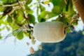 Small foam ball buoy for fishing net float hanging on tree Royalty Free Stock Photo