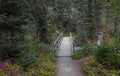 Small foot bridge in the middle of Yoho national park in Canada